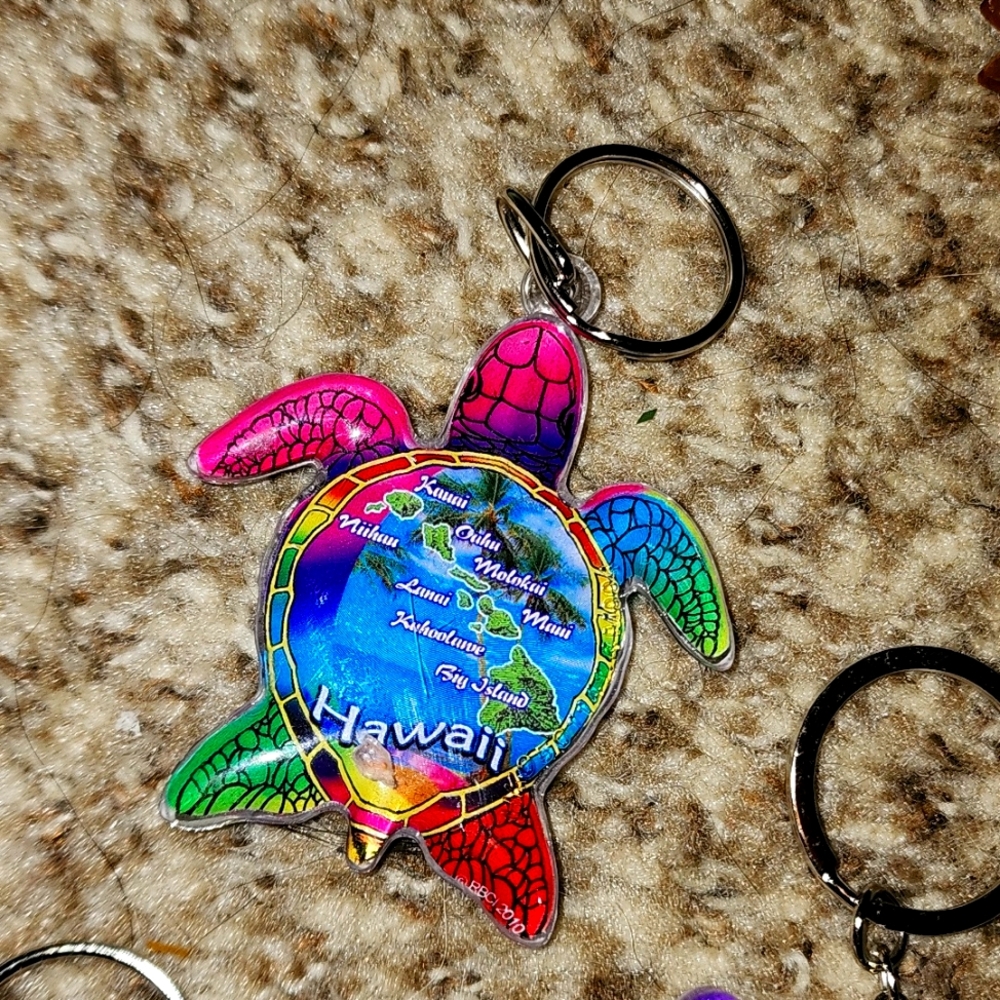 Hawaii Keychains - Picture 7 of 9